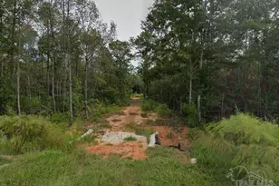 4536 Black Oak Rd, Milton, FL 32583 - Photo 1