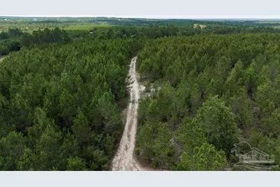 30 Acres Treetop Ridge Dr, Pace, FL 32571 - Photo 3
