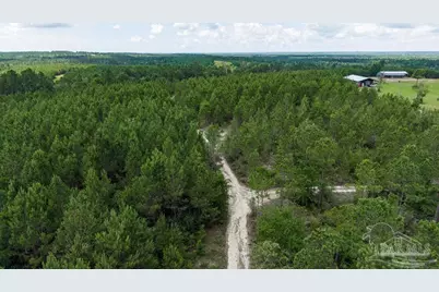 30 Acres Treetop Ridge Dr, Pace, FL 32571 - Photo 13