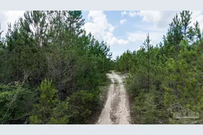 30 Acres Treetop Ridge Dr, Pace, FL 32571 - Photo 17