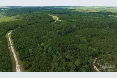 30 Acres Treetop Ridge Dr, Pace, FL 32571 - Photo 15