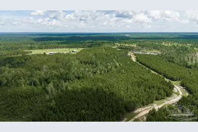 30 Acres Treetop Ridge Dr, Pace, FL 32571 - Photo 7