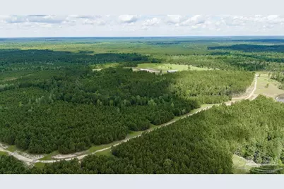 30 Acres Treetop Ridge Dr, Pace, FL 32571 - Photo 11