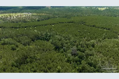 30 Acres Treetop Ridge Dr, Pace, FL 32571 - Photo 9