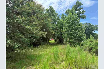 296 Salters Lake Rd, Century, FL 32535 - Photo 19