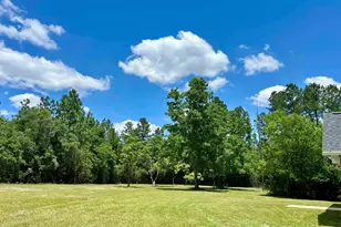 10201 Pilgrim Trail, Molino, FL 32577 - Photo 5