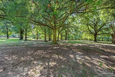 12400 Wildlife Rd, Holt, FL 32564 - Photo 17