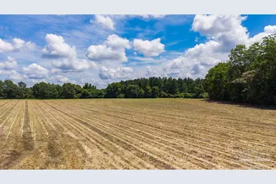 2732 Hwy 4, Jay, FL 32565 - Photo 13
