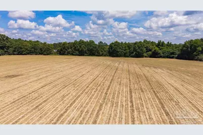2732 Hwy 4, Jay, FL 32565 - Photo 23