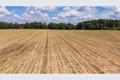 2732 Hwy 4, Jay, FL 32565 - Photo 3