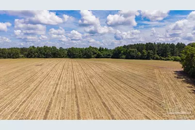2732 Hwy 4, Jay, FL 32565 - Photo 7