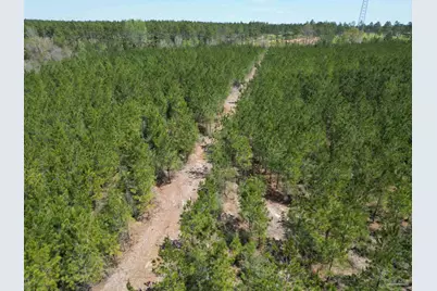 1000 Blk Hwy 97, Molino, FL 32577 - Photo 11