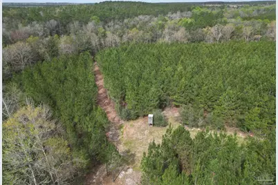 1000 Blk Hwy 97, Molino, FL 32577 - Photo 9