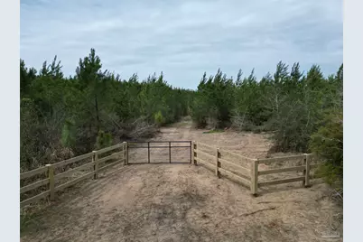 1000 Blk Hwy 97, Molino, FL 32577 - Photo 3