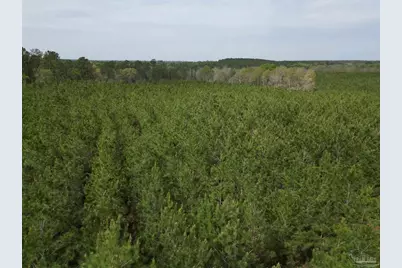 1000 Blk Hwy 97, Molino, FL 32577 - Photo 7