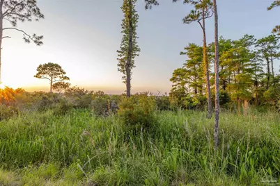 14000 River Rd, Pensacola, FL 32507 - Photo 9