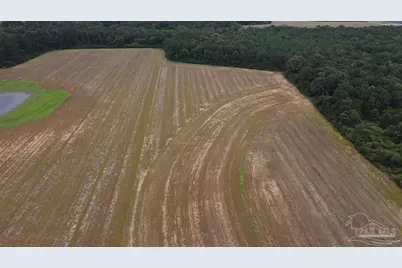7600 Block Bratt Rd, Century, FL 32535 - Photo 13