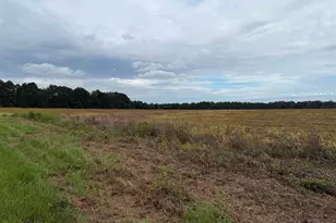 7600 Block Bratt Rd, Century, FL 32535 - Photo 1