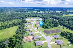 6219 Dry Crk Rd, Molino, FL 32577 - Photo 49