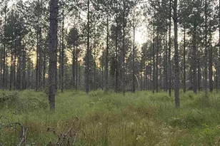 Lot 6 Wallace Lake Rd, Pace, FL 32571 - Photo 1