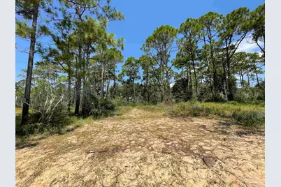 1200 Cuddle Doon Ave, Milton, FL 32583 - Photo 15