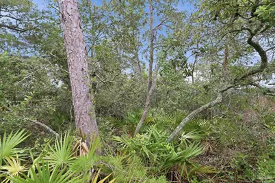 0 Dalton St #Lot 37, Santa Rosa Beach, FL 32459 - Photo 11