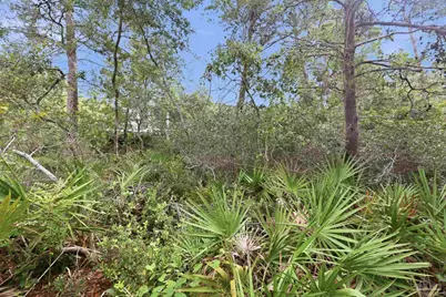 0 Dalton St #Lot 37, Santa Rosa Beach, FL 32459 - Photo 13
