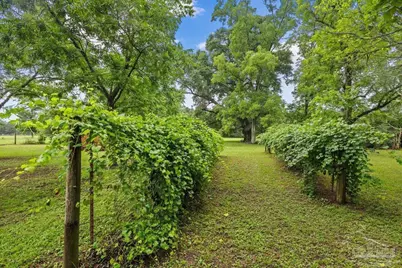 862 US 90, Holt, FL 32564 - Photo 41