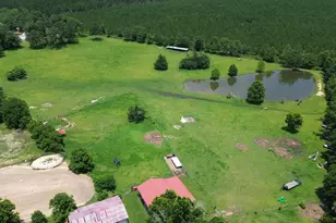 3010 N Hwy 97, Molino, FL 32577 - Photo 19