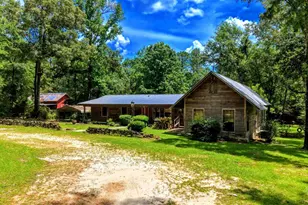 6648 St Stephens Ave, Millry, AL 36558 - Photo 53