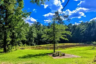 6648 St Stephens Ave, Millry, AL 36558 - Photo 47