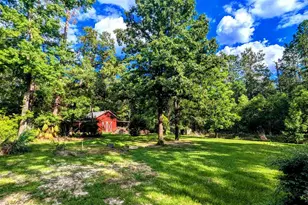6648 St Stephens Ave, Millry, AL 36558 - Photo 71