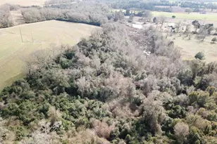 Lot 3 Hwy 4, Jay, FL 32565 - Photo 1