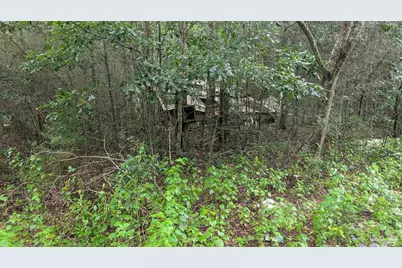 9791 Domino Rd, Milton, FL 32583 - Photo 7