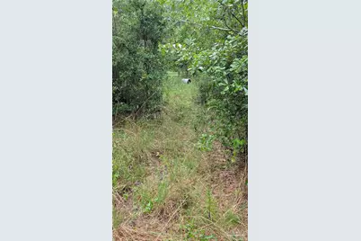 9791 Domino Rd, Milton, FL 32583 - Photo 9
