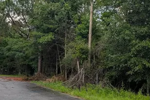 9791 Domino Rd, Milton, FL 32583 - Photo 1