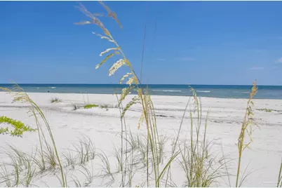 16571 Perdido Key Dr, Perdido Key, FL 32507 - Photo 23