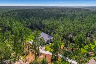 8879 Naturewalk Dr, Jay, FL 32565 - Photo 55