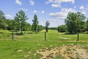 6382 Daniel Griffis Rd, Jay, FL 32565 - Photo 61