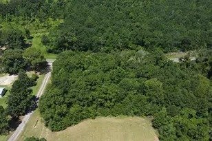 6000 Doran Rd, McDavid, FL 32568 - Photo 57