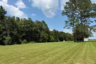 6000 Doran Rd, McDavid, FL 32568 - Photo 47