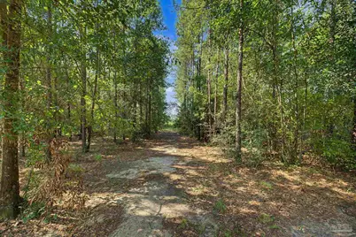 1831 Pineview Church Rd, Jay, FL 32565 - Photo 45