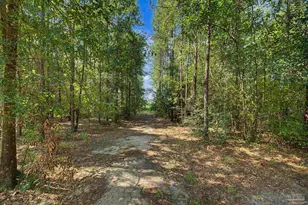 1831 Pineview Church Rd, Jay, FL 32565 - Photo 45