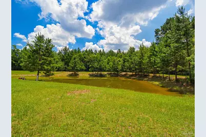 2647 Molino Rd, Molino, FL 32577 - Photo 41