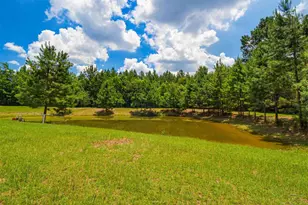 2647 Molino Rd, Molino, FL 32577 - Photo 41