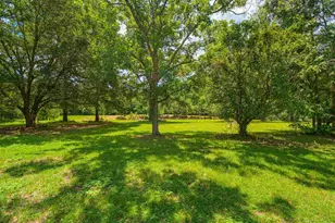 2647 Molino Rd, Molino, FL 32577 - Photo 45
