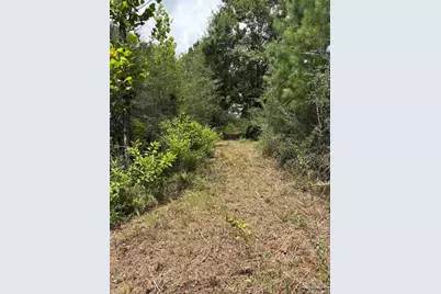 2800 Blk Velor Rd, McDavid, FL 32568 - Photo 3