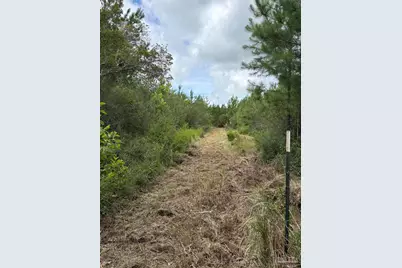 2800 Blk Velor Rd, McDavid, FL 32568 - Photo 5