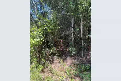 3 Bryant Bridge Rd, Holt, FL 32564 - Photo 1