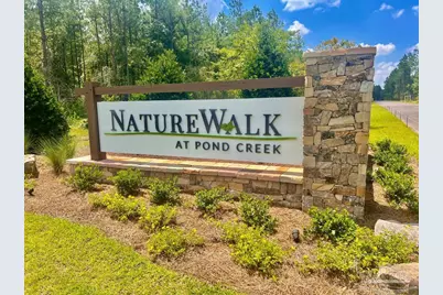 Lot 58 South Timber Ln, Jay, FL 32565 - Photo 3